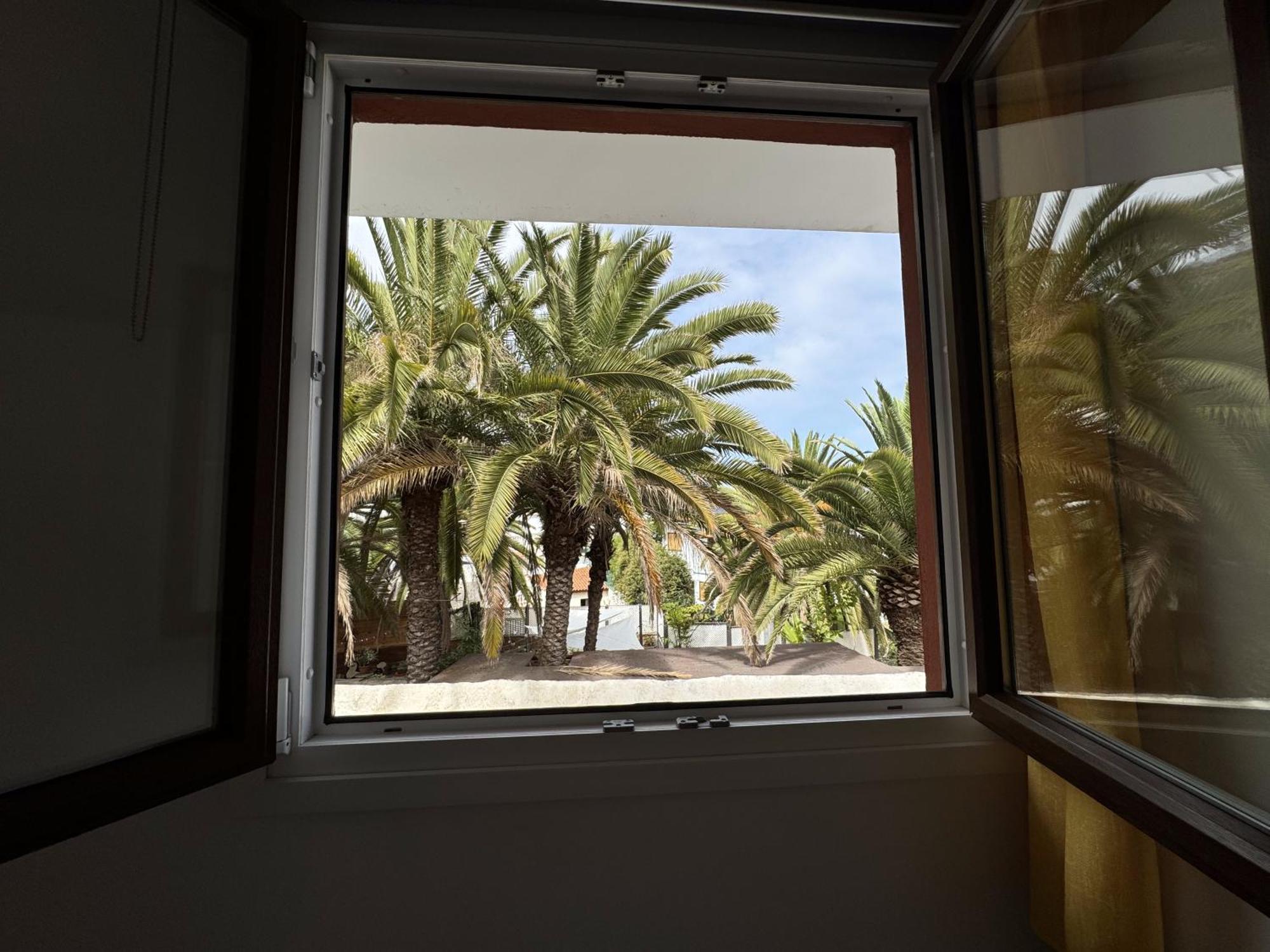 Phoenix Canariensis San Juan de la Rambla Екстериор снимка
