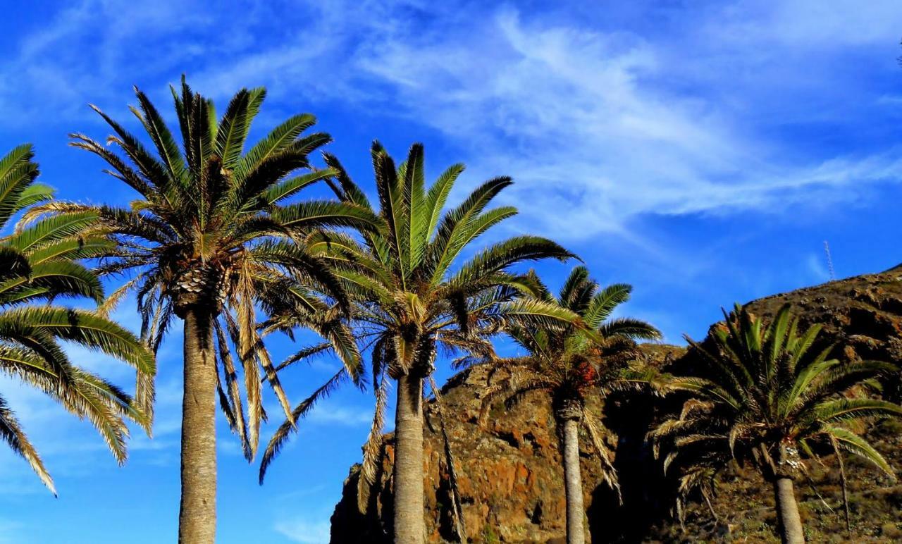 Phoenix Canariensis San Juan de la Rambla Екстериор снимка